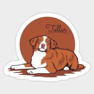 Toller Enjoying The Night Sticker